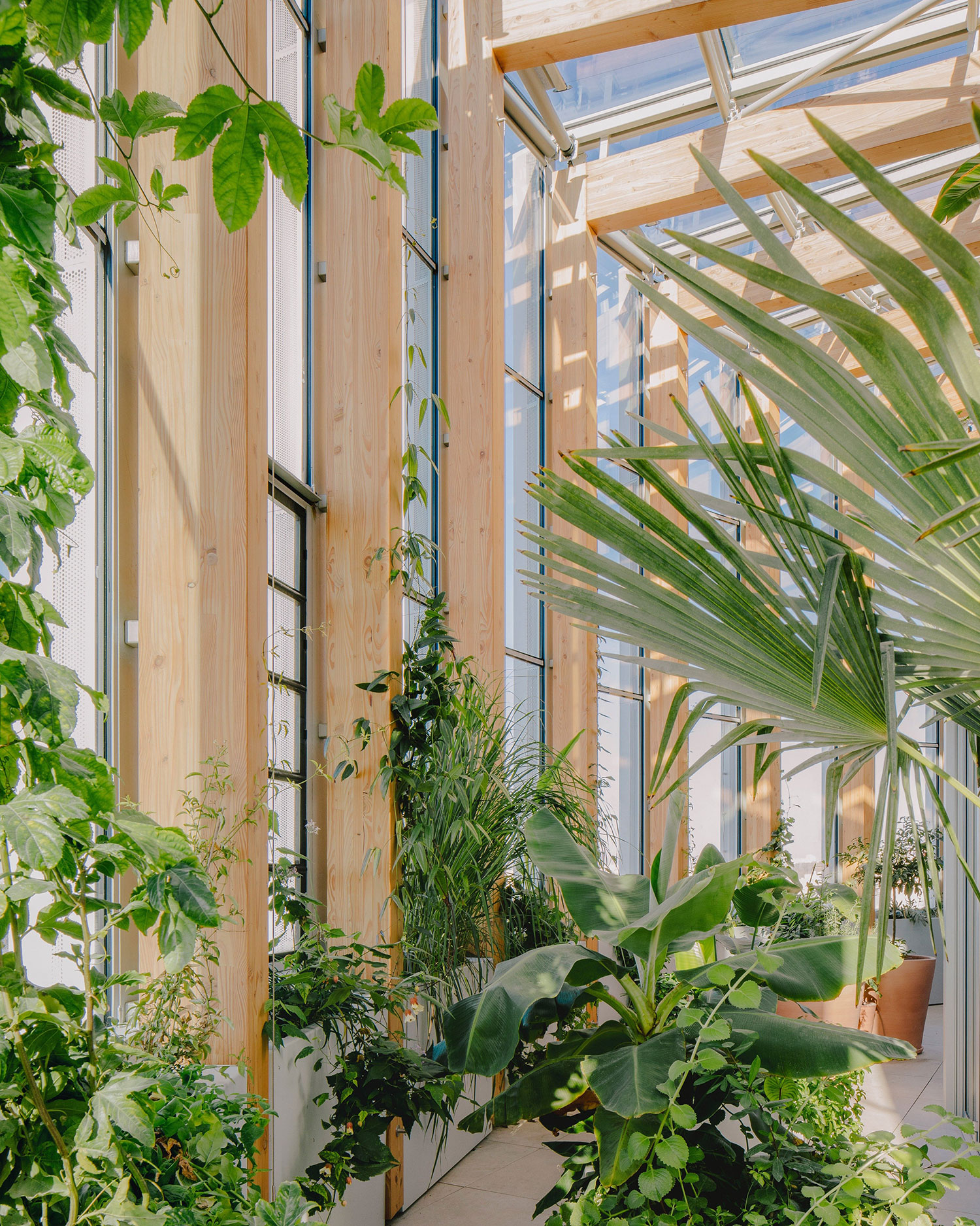 Racine Tower, Paris, France / Maud Caubet Architectes