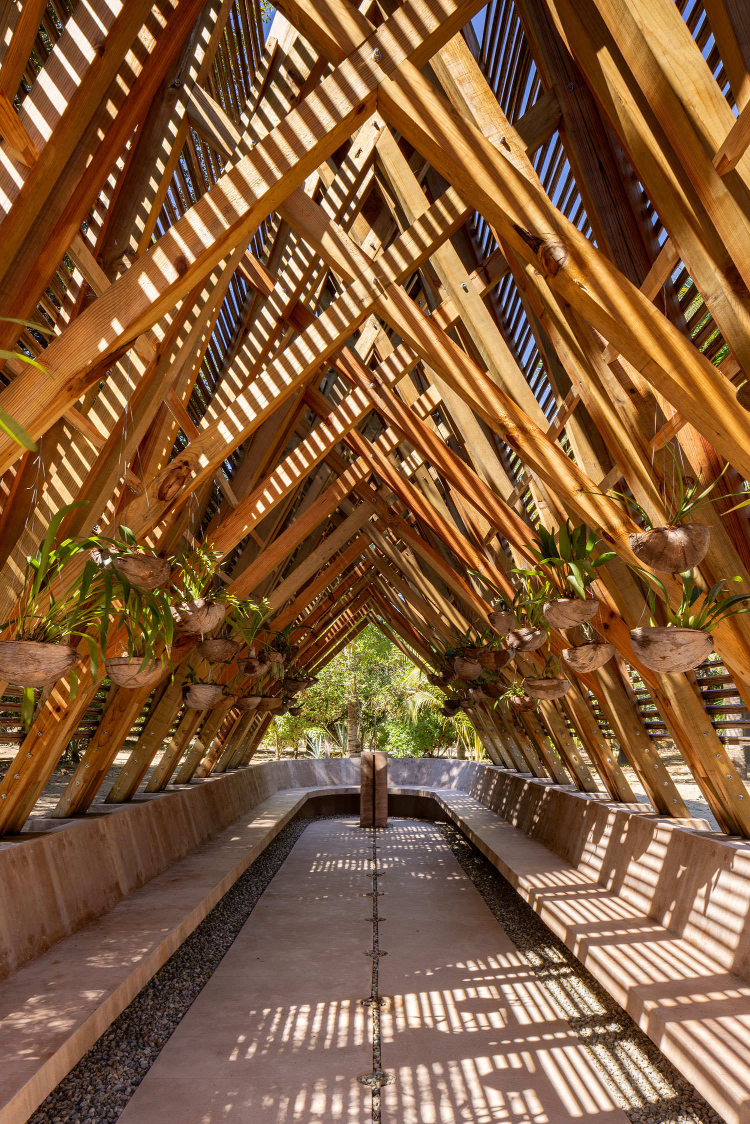 Casa Wabi's Orchid Pavilion: A Sanctuary for Orchids and Reflection in Puerto Escondido