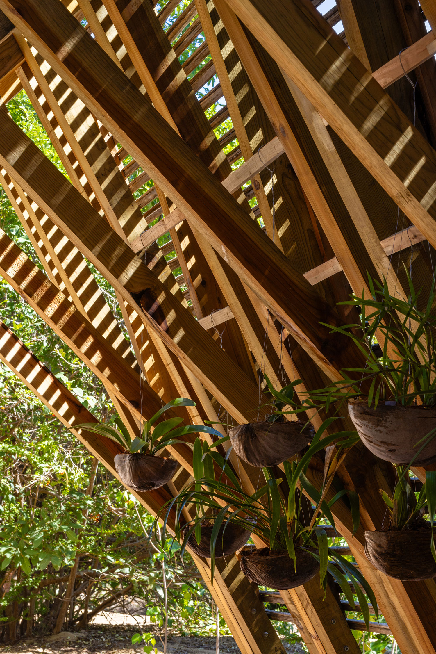 Casa Wabi's Orchid Pavilion: A Sanctuary for Orchids and Reflection in Puerto Escondido