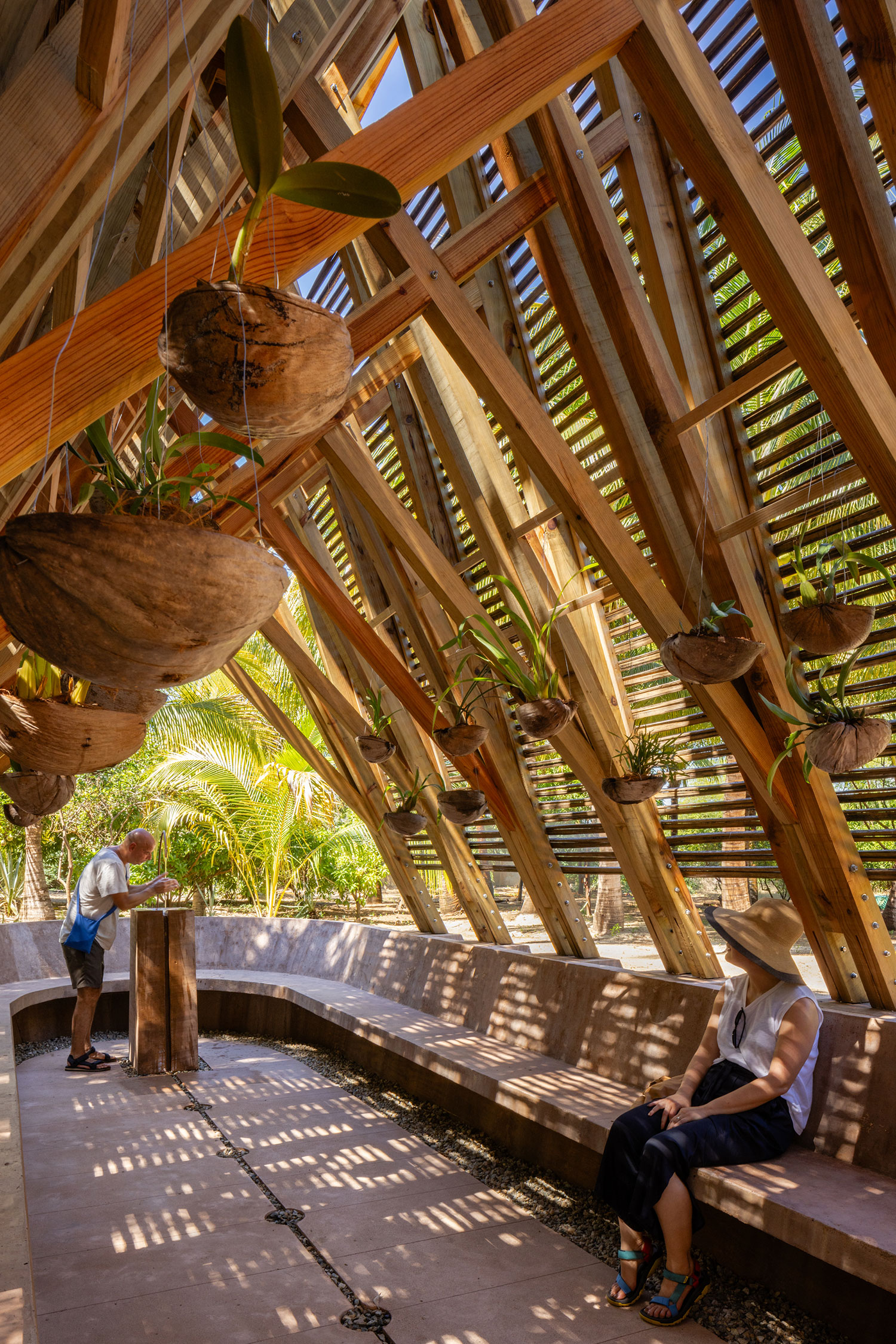 Casa Wabi's Orchid Pavilion: A Sanctuary for Orchids and Reflection in Puerto Escondido