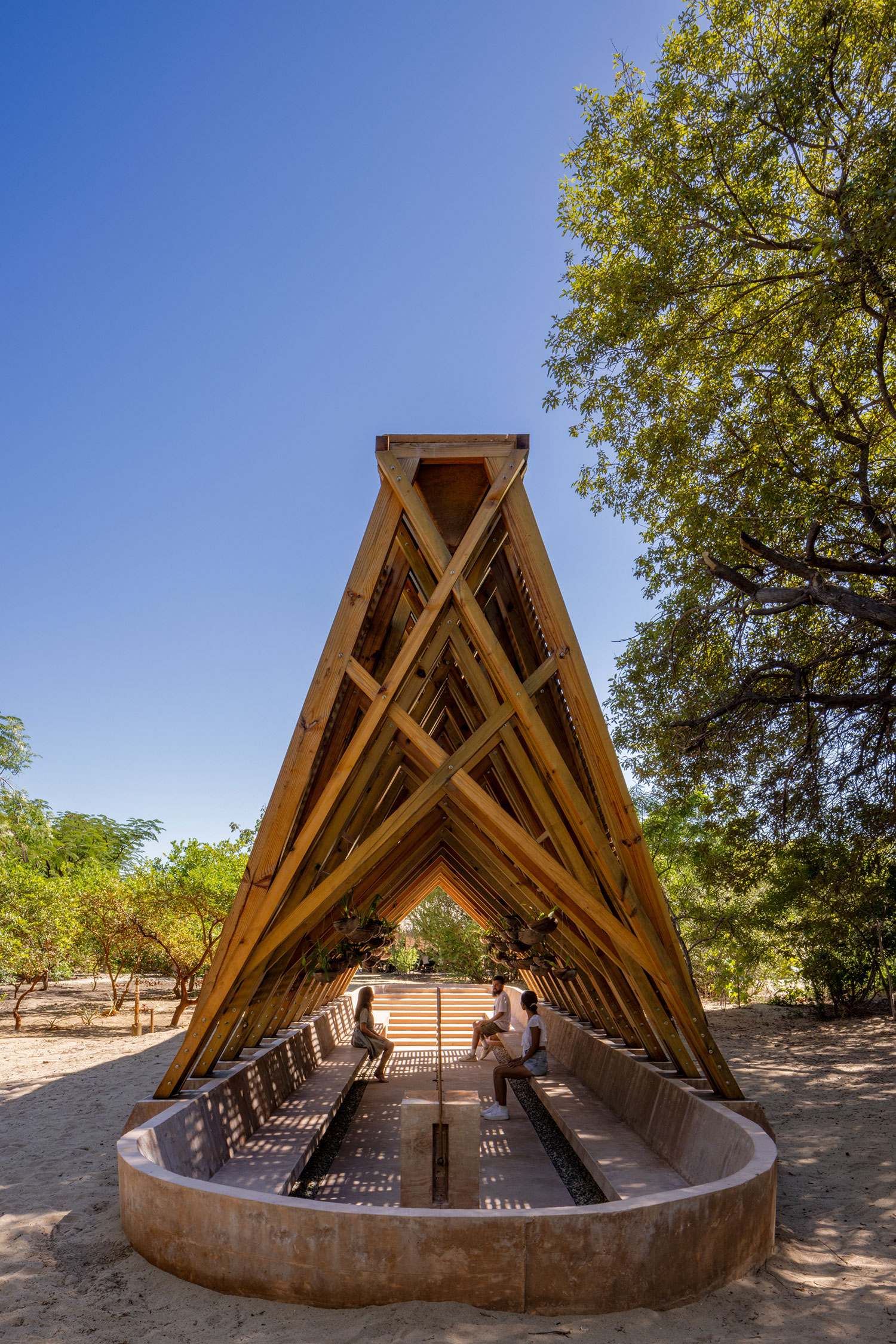 Casa Wabi's Orchid Pavilion: A Sanctuary for Orchids and Reflection in Puerto Escondido