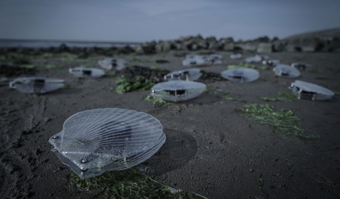 Marco Barotti's Kinetic Clam Sculptures Transform Aquatic Data into Dynamic Soundscapes