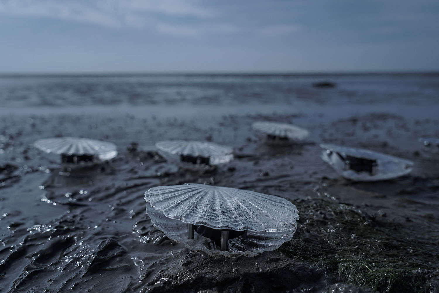 Marco Barotti's Kinetic Clam Sculptures Transform Aquatic Data into Dynamic Soundscapes