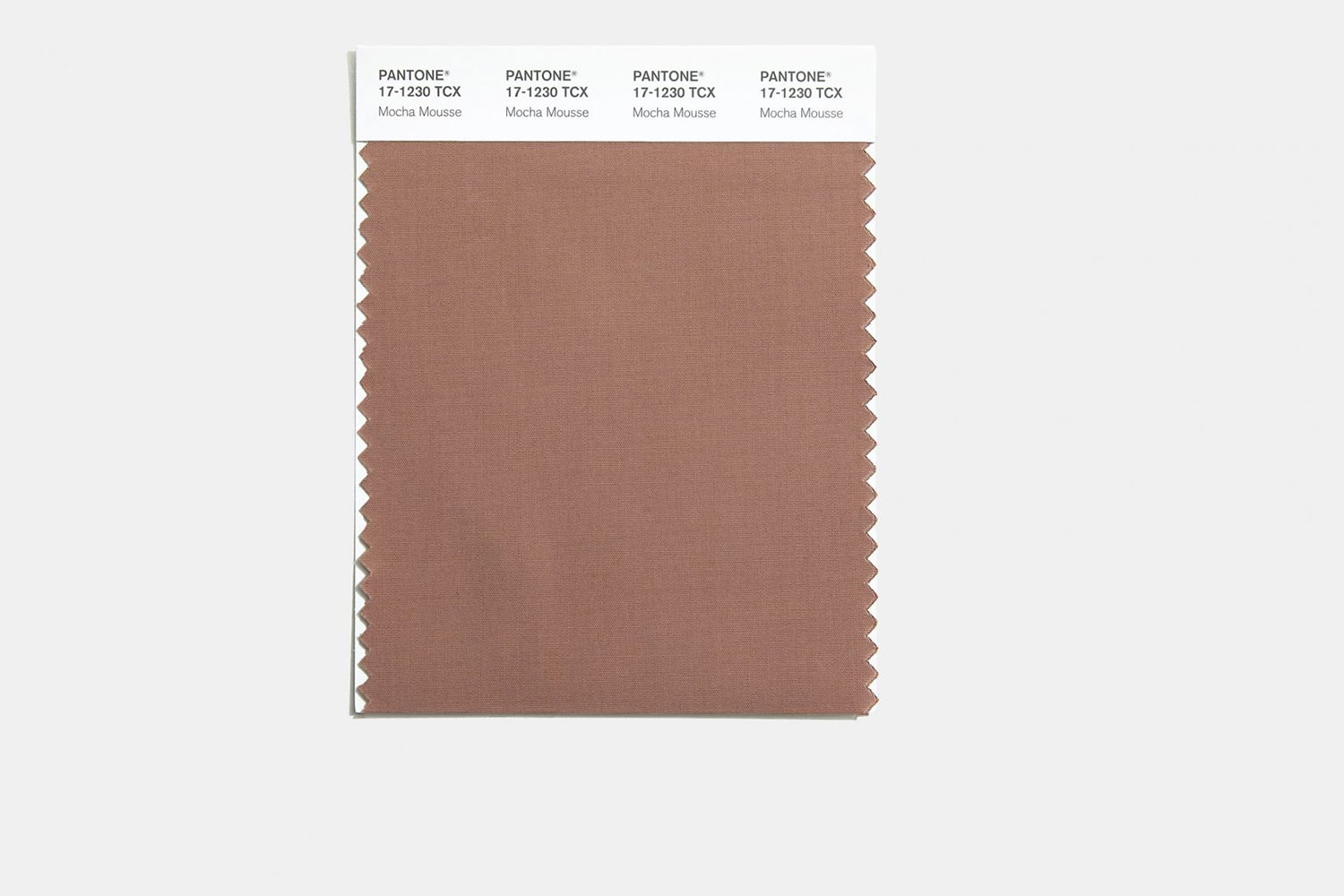 Pantone Color of the Year 2025: Mocha Mousse Explained