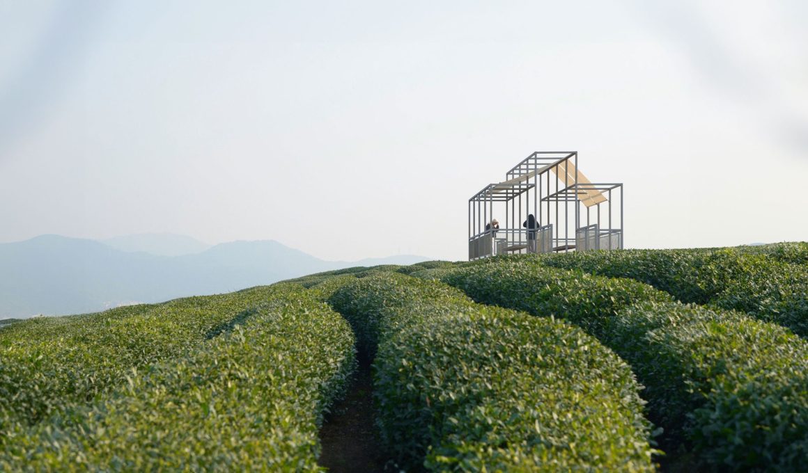 Shade and Structure: Youmu Architects' Tea Pavilion in Rural China