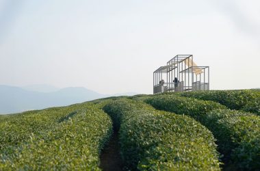 Shade and Structure: Youmu Architects' Tea Pavilion in Rural China