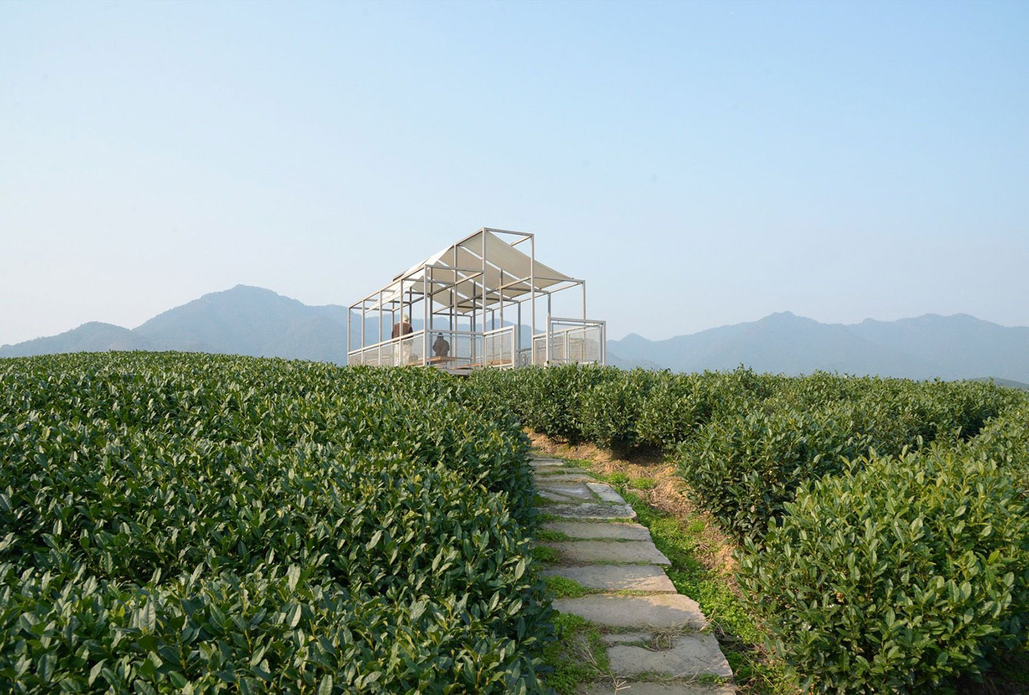 Shade and Structure: Youmu Architects' Tea Pavilion in Rural China