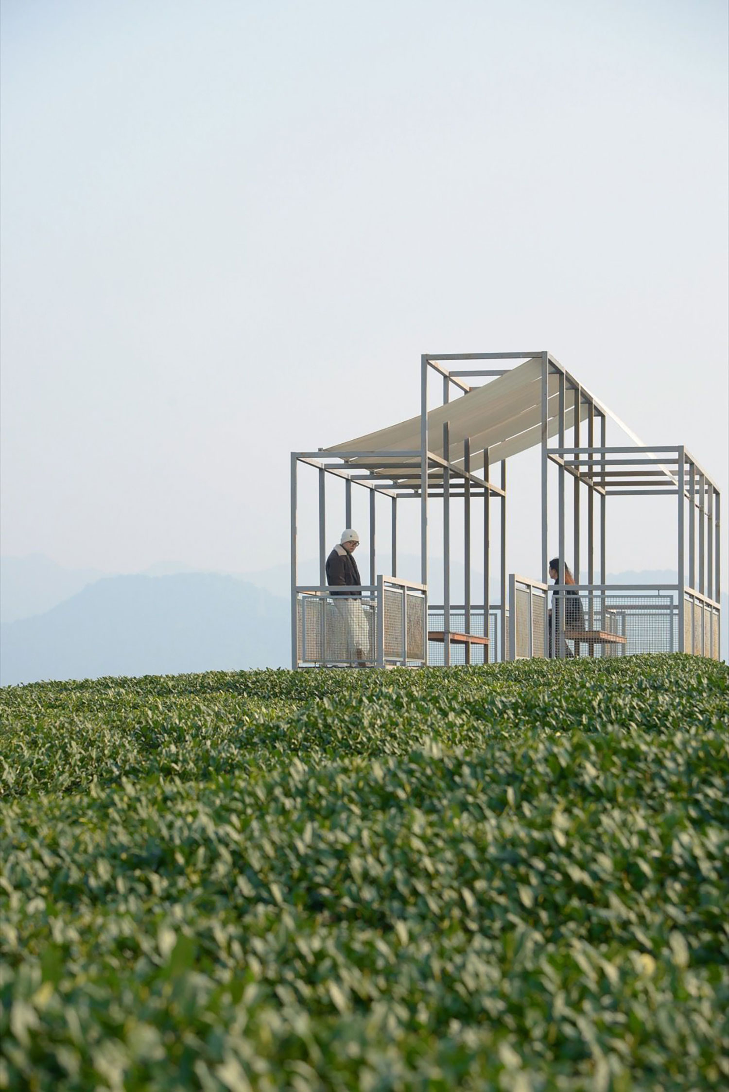 Shade and Structure: Youmu Architects' Tea Pavilion in Rural China