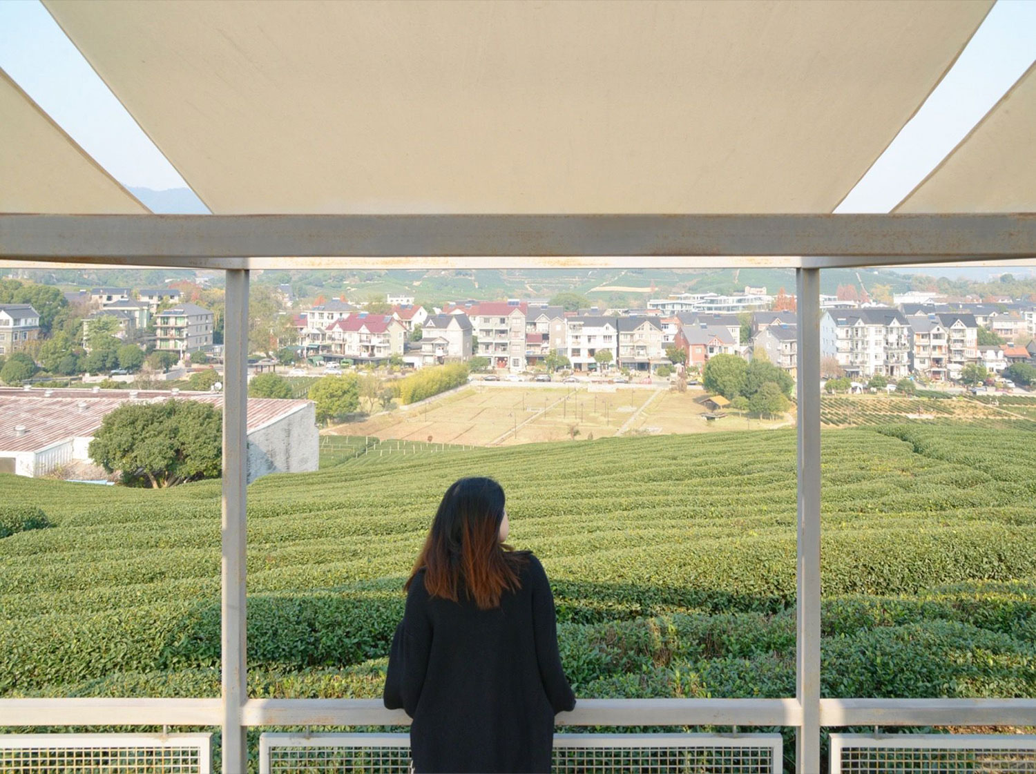 Shade and Structure: Youmu Architects' Tea Pavilion in Rural China