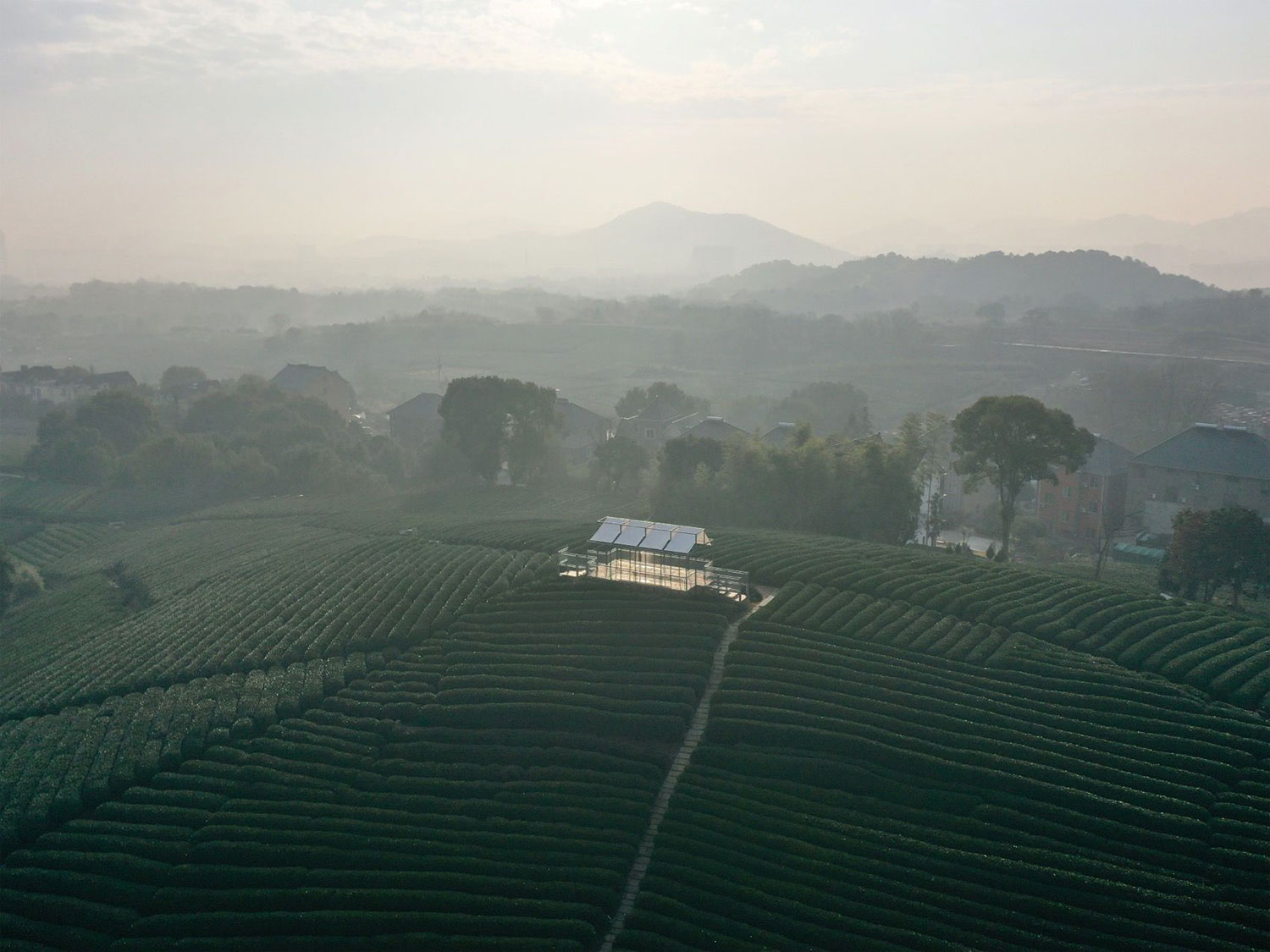 Shade and Structure: Youmu Architects' Tea Pavilion in Rural China