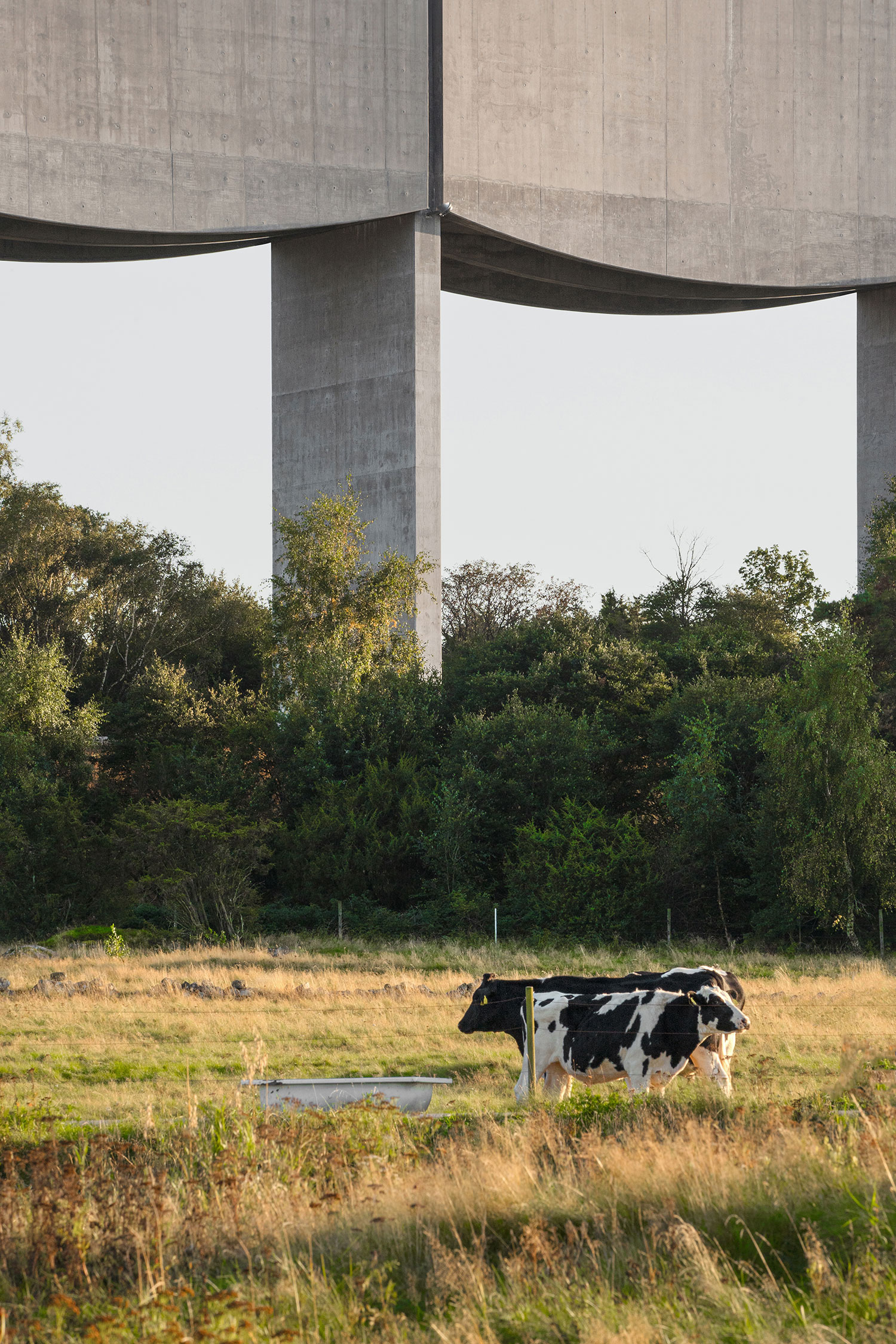 White Arkitekter's Våga Water Tower: Merging Utility with Aesthetic in Varberg 